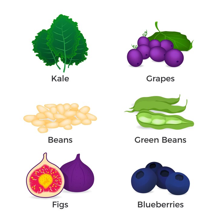 Gratis Vector verzameling van superfood