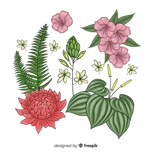 Gratis vector verzameling van tropische bladeren en bloemen