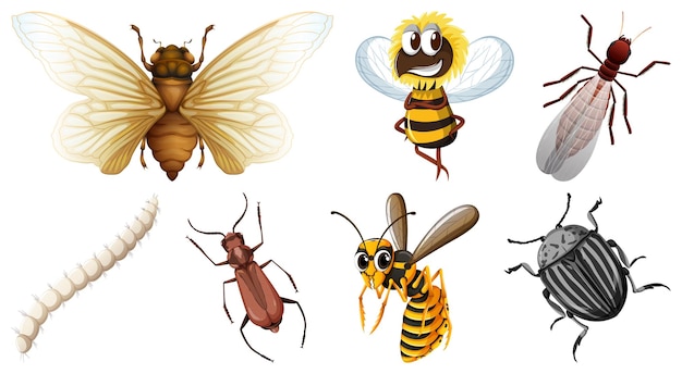 Gratis vector verzameling van verschillende insecten vector