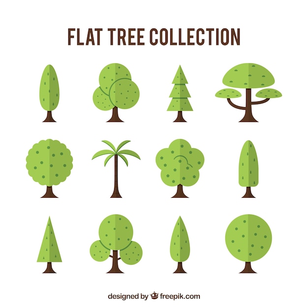 Verzameling van verschillende soorten bomen