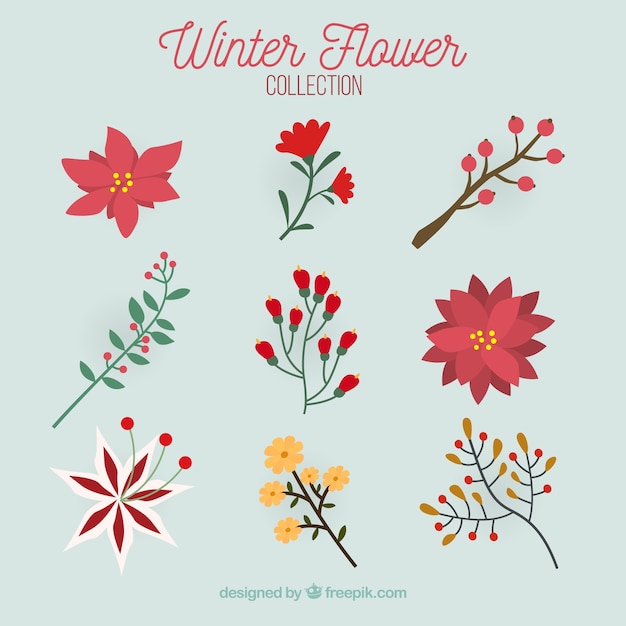 Gratis vector verzameling van winter bloem