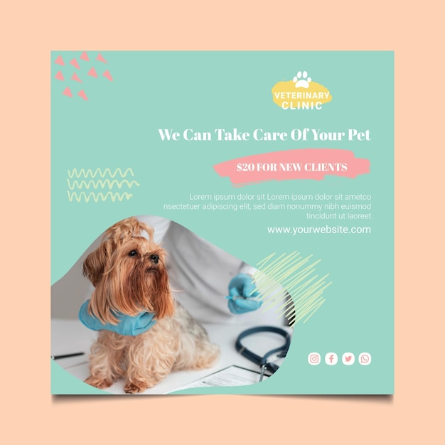 Gratis vector veterinaire vierkante flyer-sjabloon