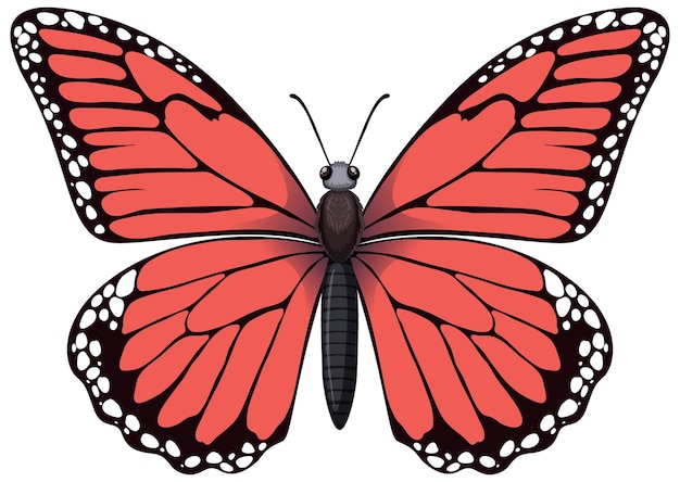 Gratis vector vibrant red butterfly vector illustratie