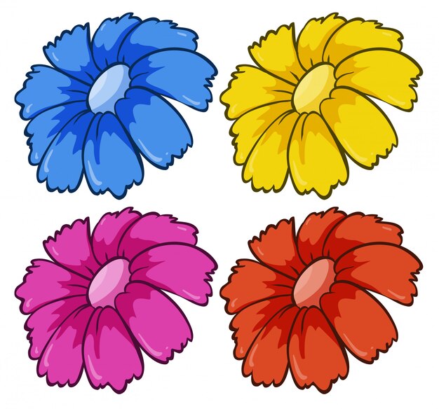 Vier bloemen in verschillende kleuren