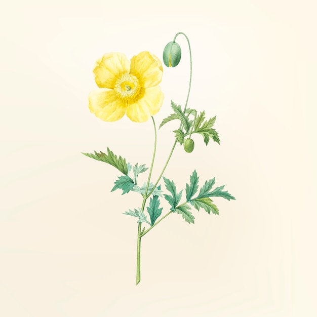 Gratis vector vintage bloem illustratie