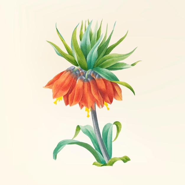 Gratis vector vintage bloem illustratie