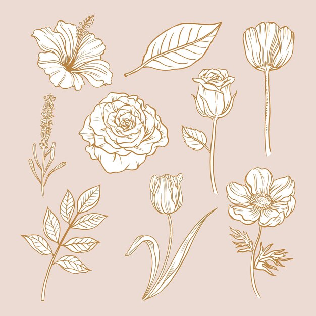 Vintage bloem sticker, bruine botanische illustratie vector set