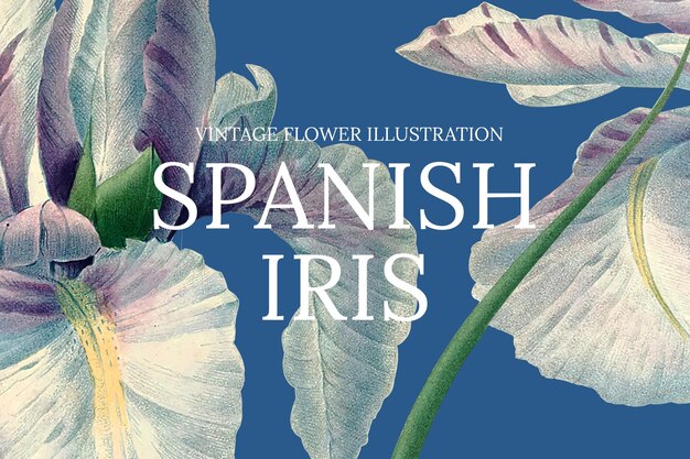 Vintage bloemensjabloonillustratie met Spaanse iri-achtergrond, geremixt van kunstwerken uit het publieke domein