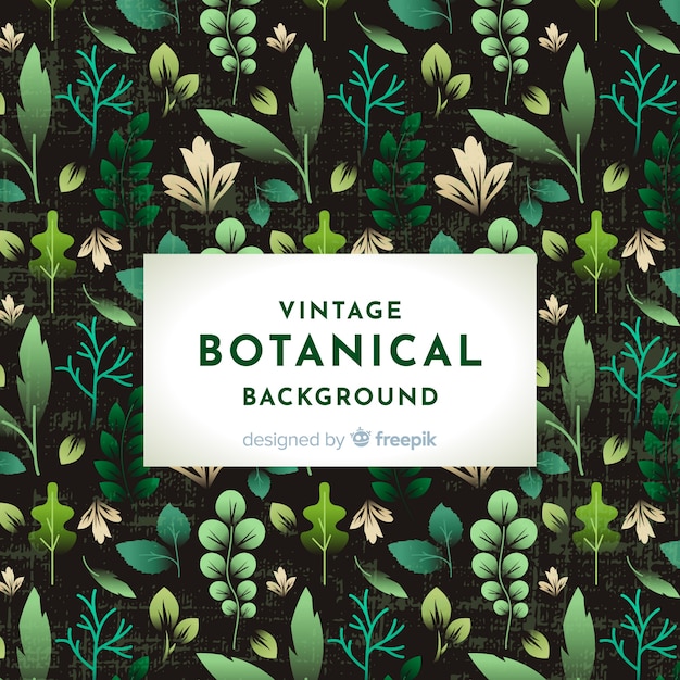 Gratis vector vintage botanische achtergrond