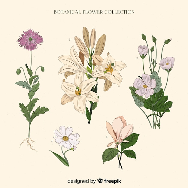 Vintage botanische bloemencollectie