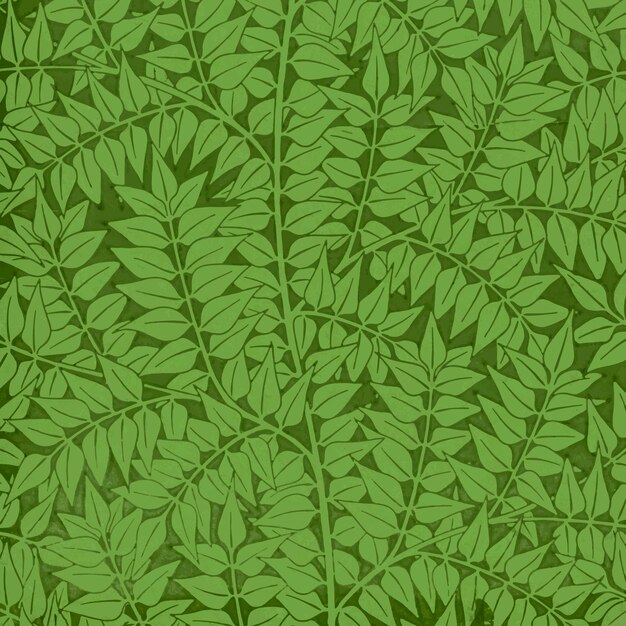 Vintage groene laurier takken patroon vector