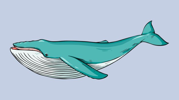 Vintage handgetekende walvis cartoon clipart