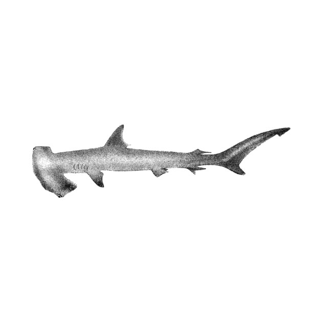 Vintage illustraties van Hammer-headed Shark