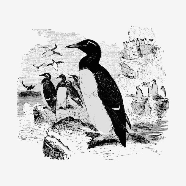 Vintage pinguïns illustratie