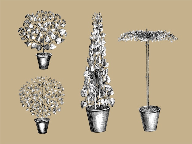 Gratis vector vintage planten en bladeren illustratie