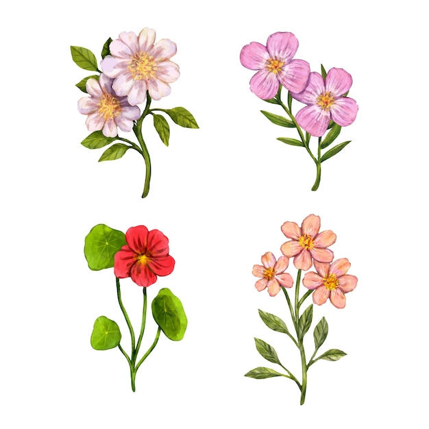 Vintage plantkunde bloemen set