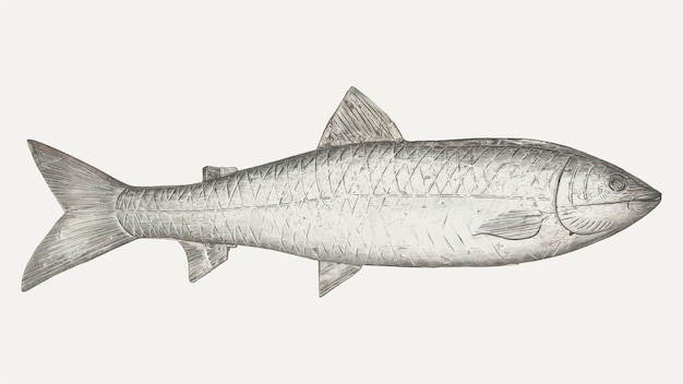 Gratis vector vintage vis illustratie vector, geremixt van het kunstwerk door henry murphy
