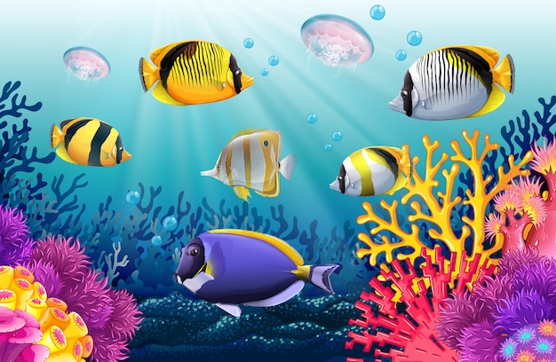 Vissen zwemmen onder de zee
