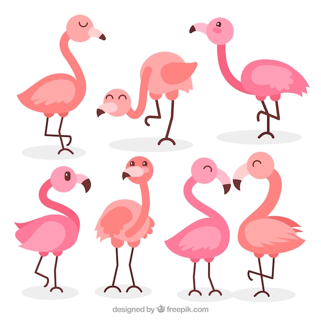 Gratis vector vlakke flamingo'sinzameling in verschillende stellen