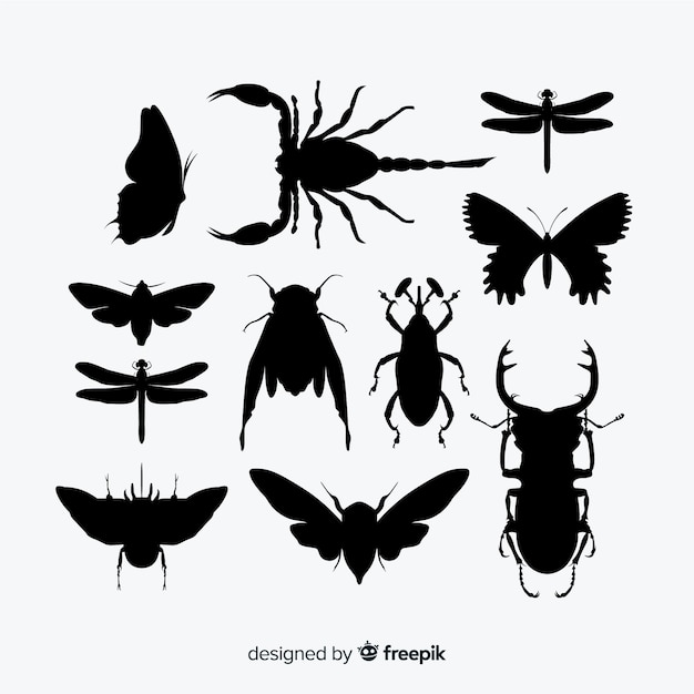 Vlakke insecten silhouetten collectie