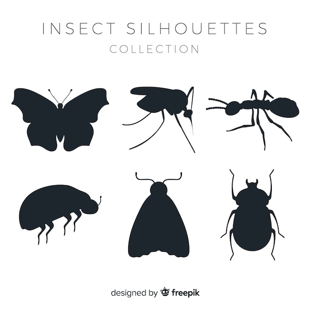 Vlakke insecten silhouetten collectie