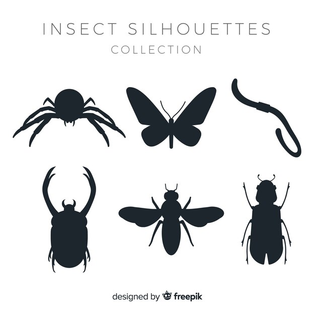 Vlakke insecten silhouetten collectie