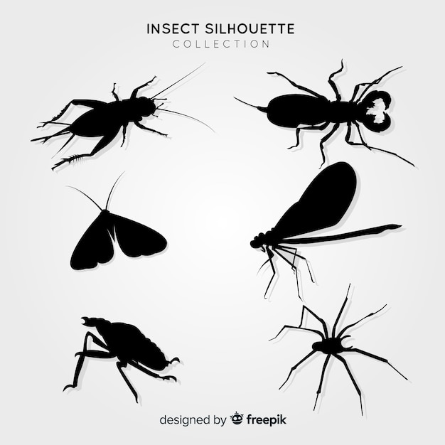 Vlakke insecten silhouetten collectie