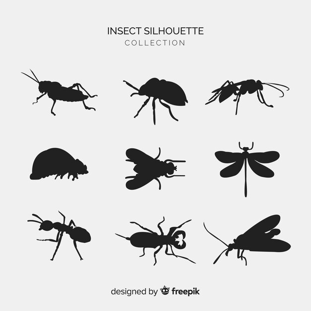 Vlakke insecten silhouetten collectie