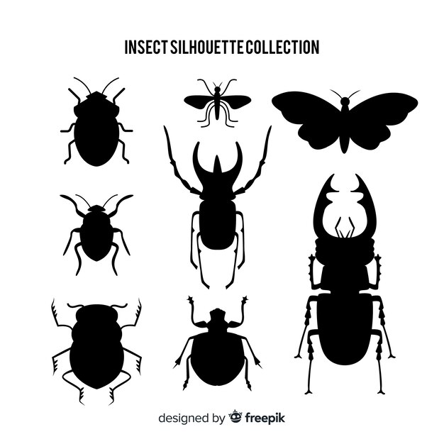 Vlakke insecten silhouetten collectie