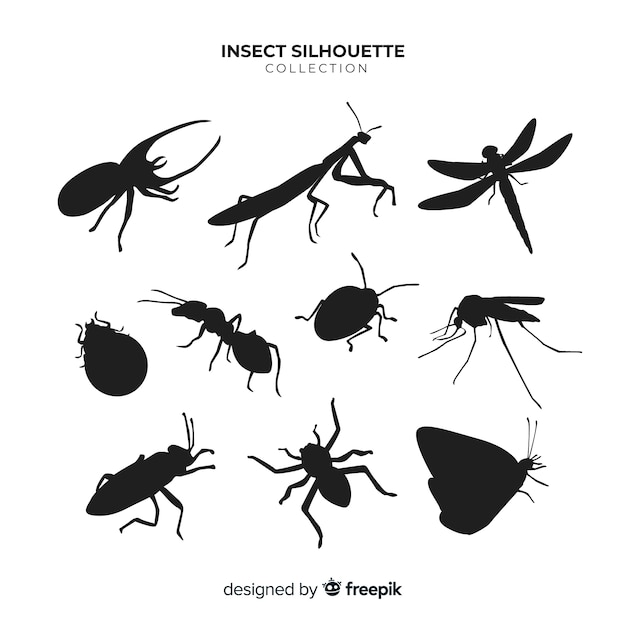 Vlakke insecten silhouetten collectie