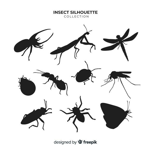 Vlakke insecten silhouetten collectie