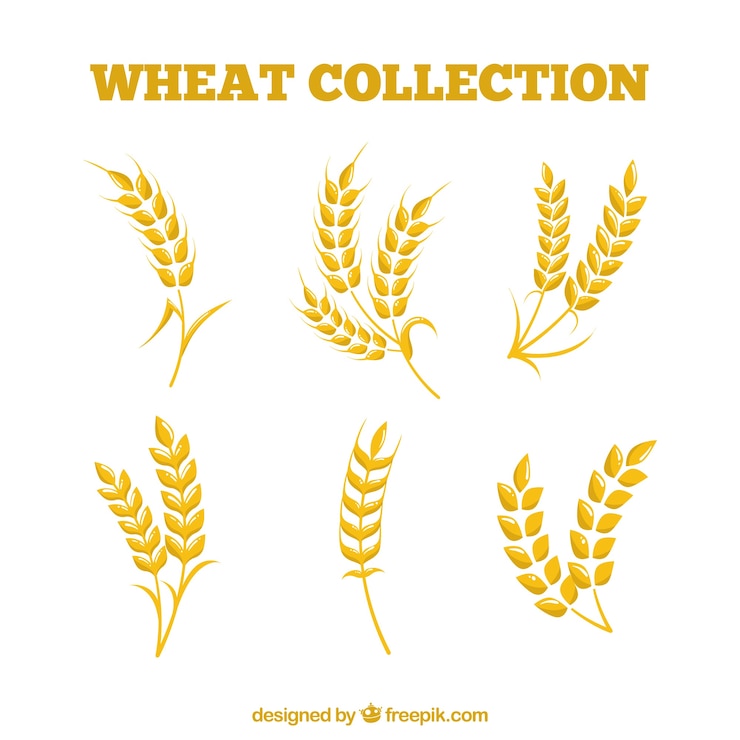 Gratis Vector vlakke tarwe-collectie