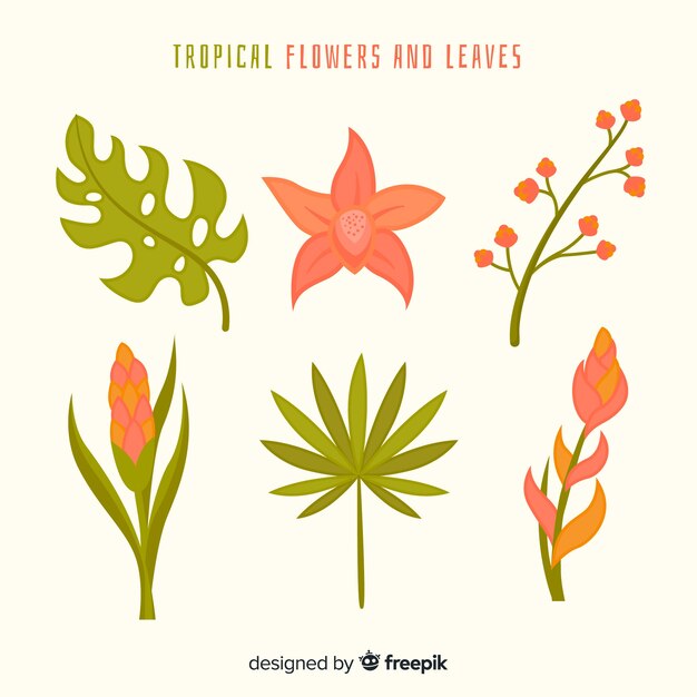 Vlakke tropische bloemen en bladeren