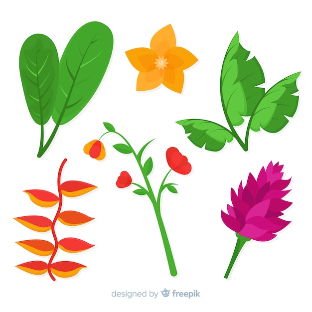 Gratis vector vlakke tropische bloemen en bladeren