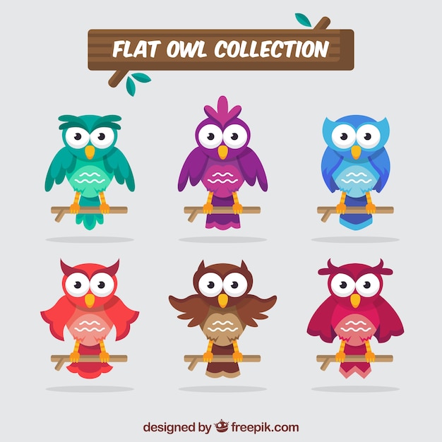 Gratis vector vlakke uilcollectie