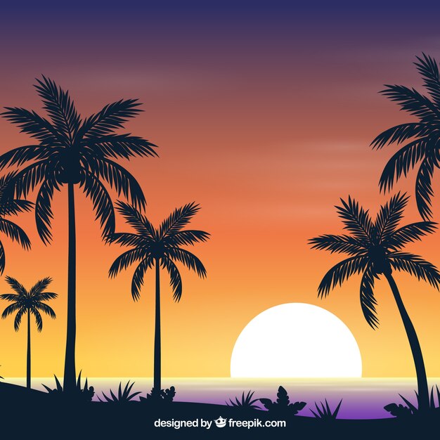 Vlakke zonsondergangachtergrond met palmen