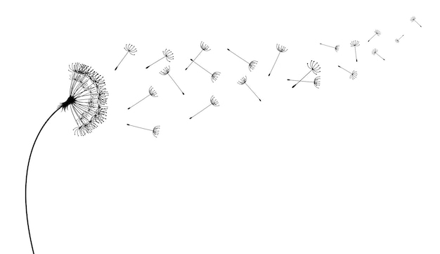 Vliegend paardebloemzaden vectorpictogram vector geïsoleerd decoratie-element van verspreide silhouetten