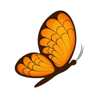 Vlinder. afbeelding van een prachtige oranje vlinder, zijaanzicht. een heldere mot. vectorillustratie geïsoleerd op een witte achtergrond.