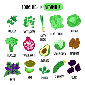 Voedingsmiddelen rijk aan vitamine k vectorillustratie met gezond voedsel rijk aan vitamine k