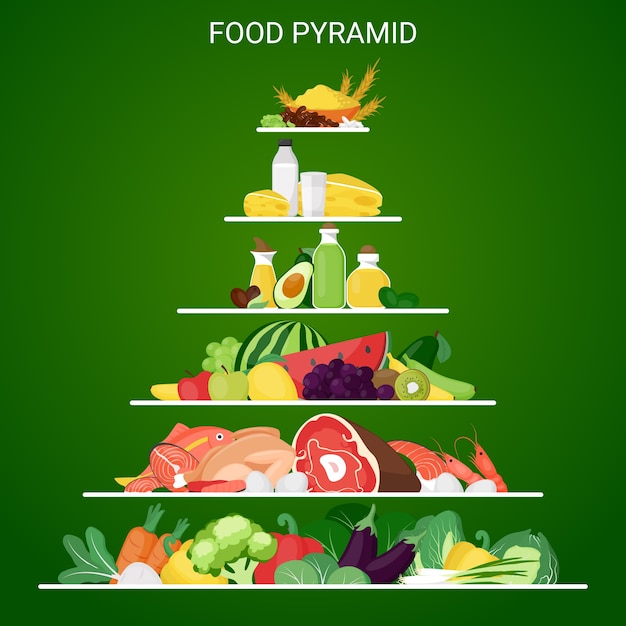 Gratis vector voedselpiramide voeding