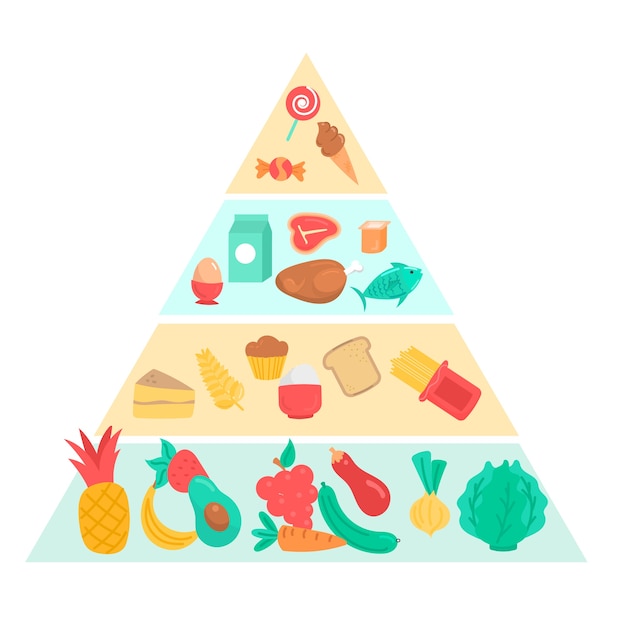 Gratis vector voedselpiramide voeding