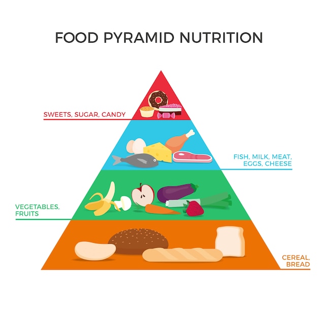 Voedselpiramide voor voeding