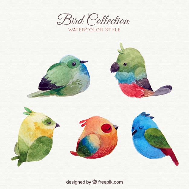 Gratis vector vogelscollectie in aquarelstijl