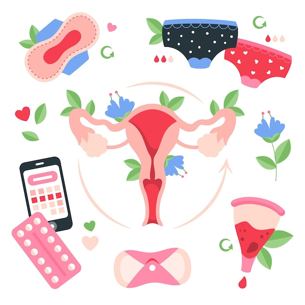 Vrouwelijk reproductief systeemconcept met hygiëneproducten
