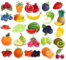 Gratis vector vruchtenbessen kleurrijke pictogrammeninzameling