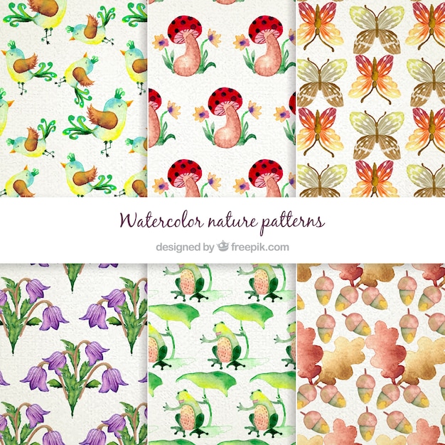 Watercolor Nature Patterns