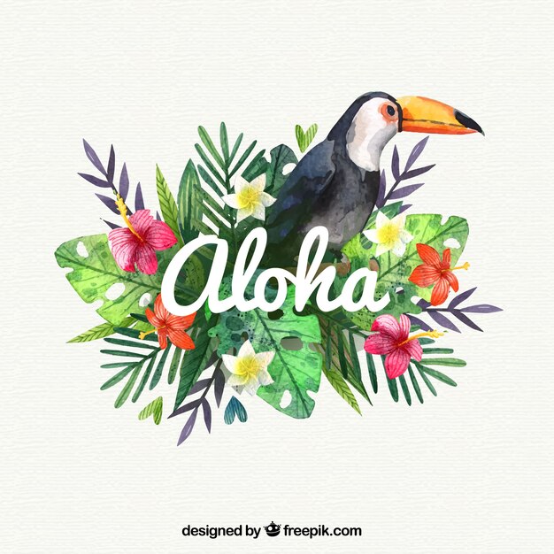 Watercolor pelikaan aloha achtergrond