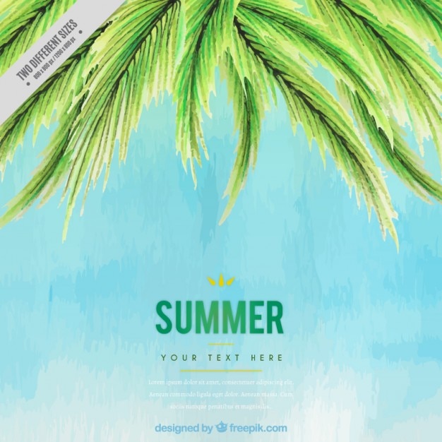 Gratis vector watercolor zomer achtergrond met palmboom