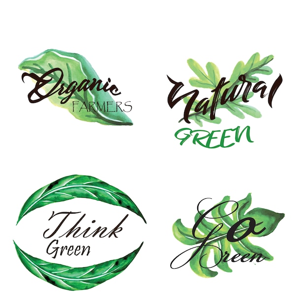 Watercolour green leaves logo collection