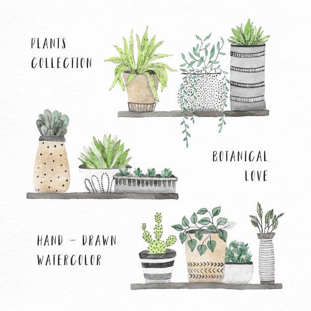 Gratis vector watercolour house planten collectie